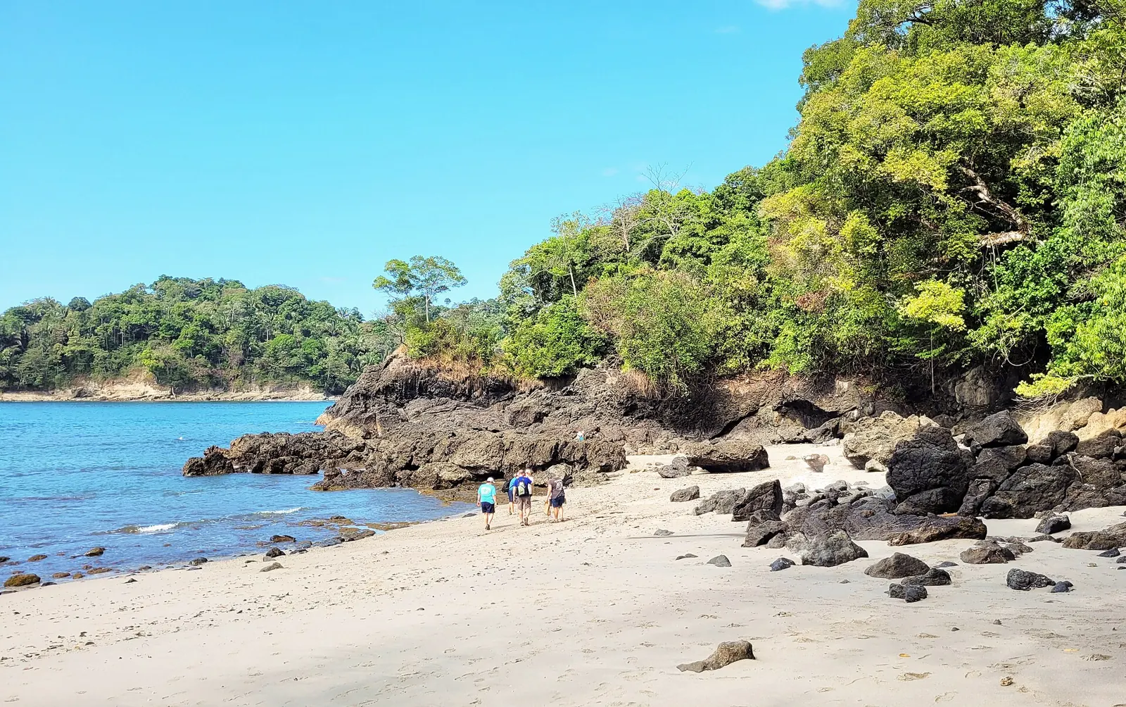 Beach and forest in Manuel Antonio National Park, on the Pacific coast